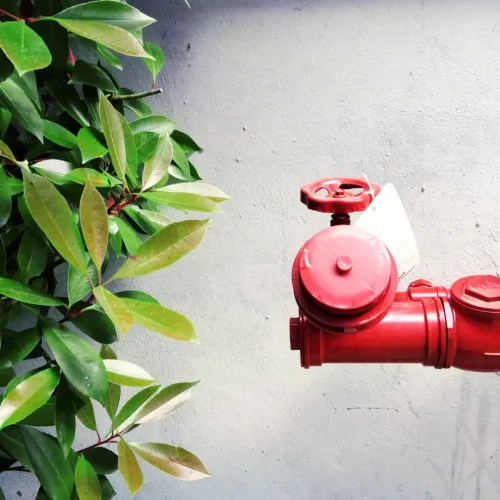 projeto-sprinkler (1)